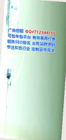 民丰代母科技服务经营部